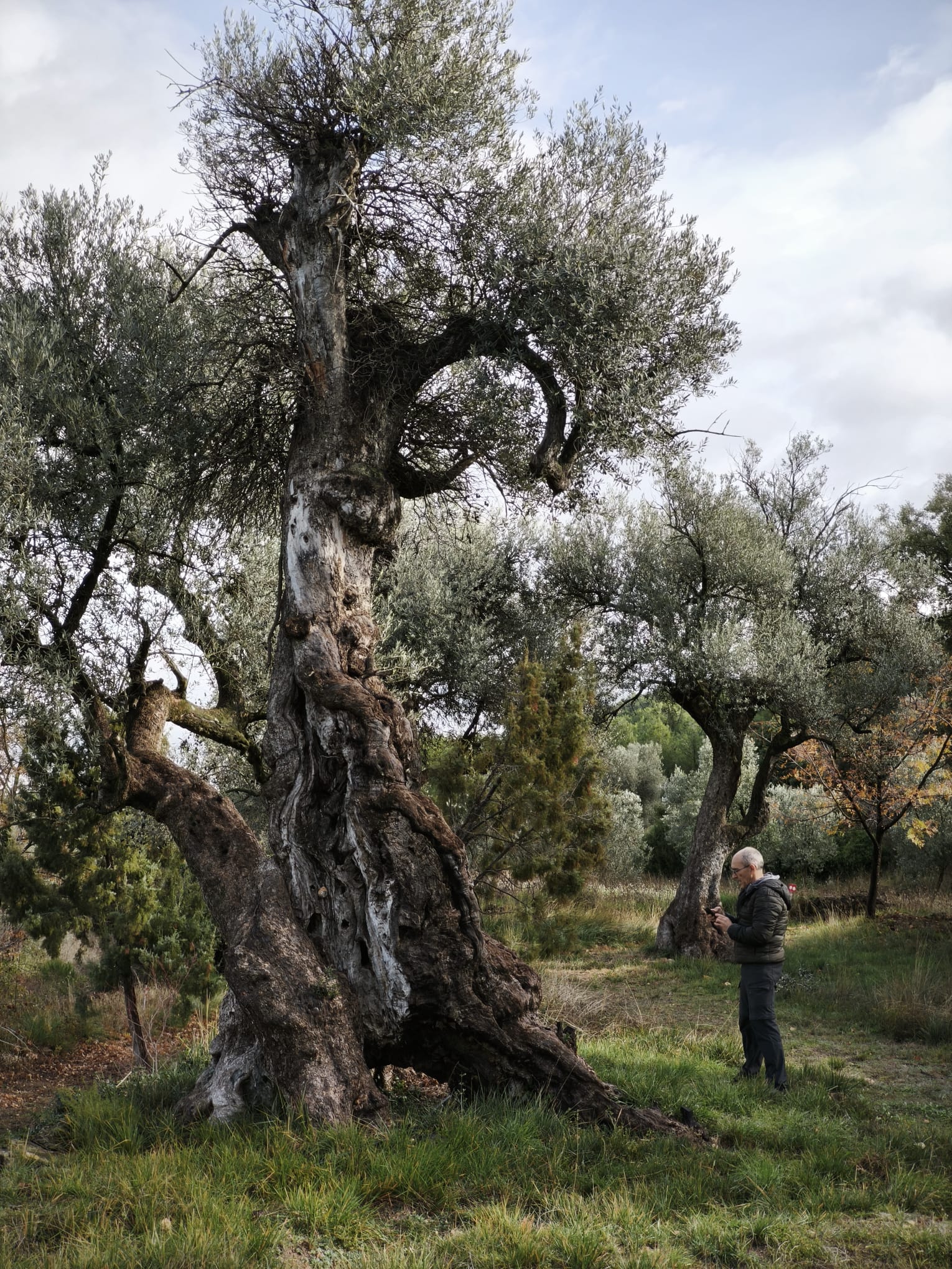 WhatsApp Image 2025-12-09 at 14.12.31