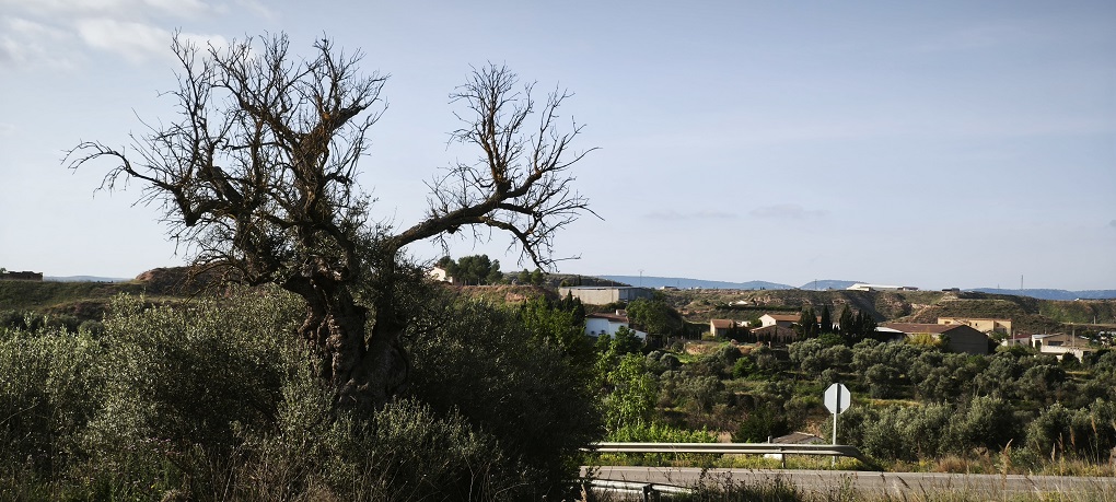 MVIMG_20260423_093156